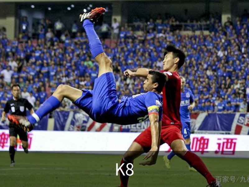 K8体育官网